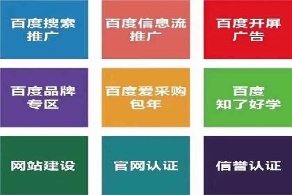 实战解析：SEM代运营成功案例分享